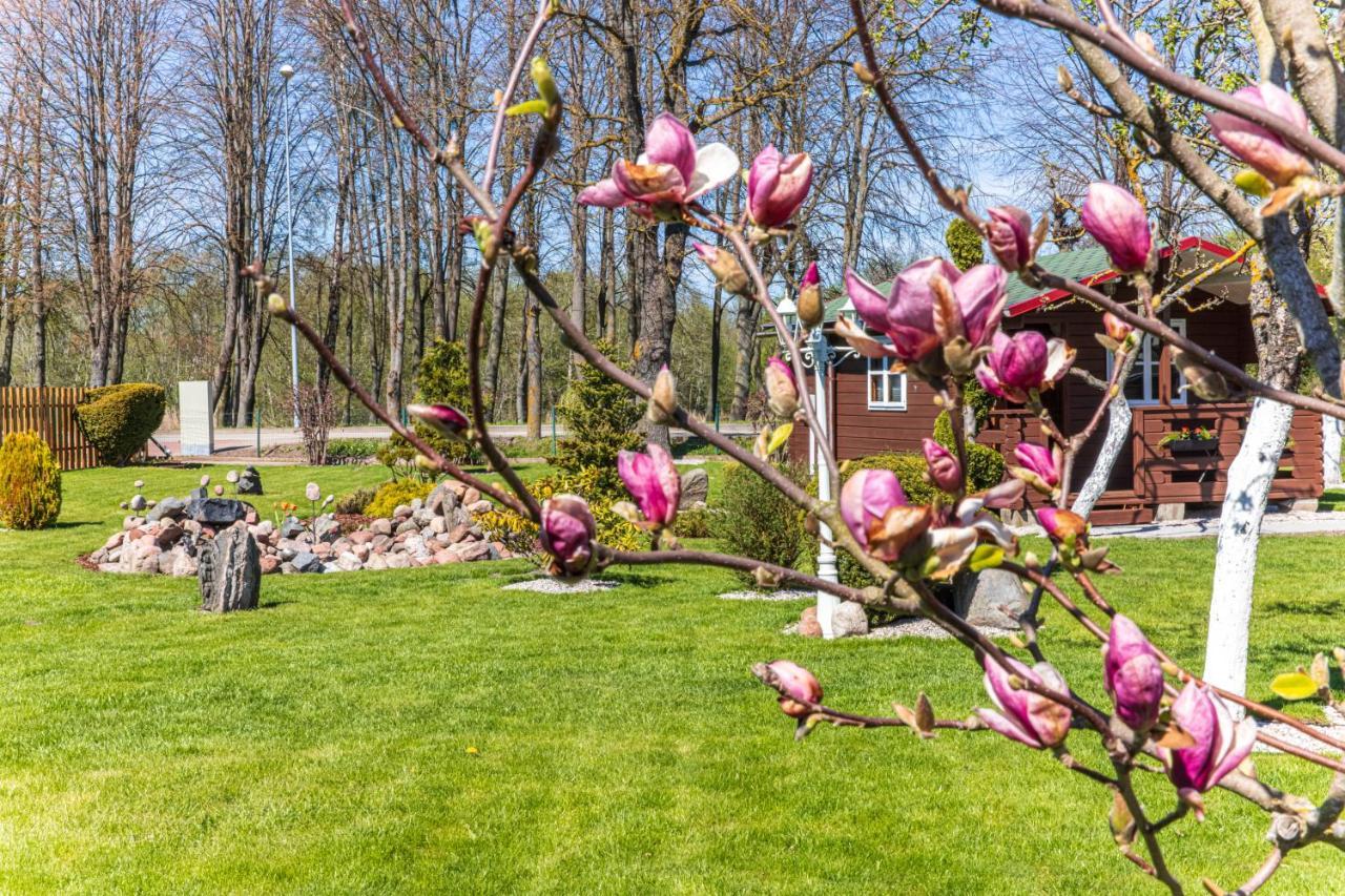Zaliasis Kampas Nameliai Sventojoje Villa Šventoji Dış mekan fotoğraf