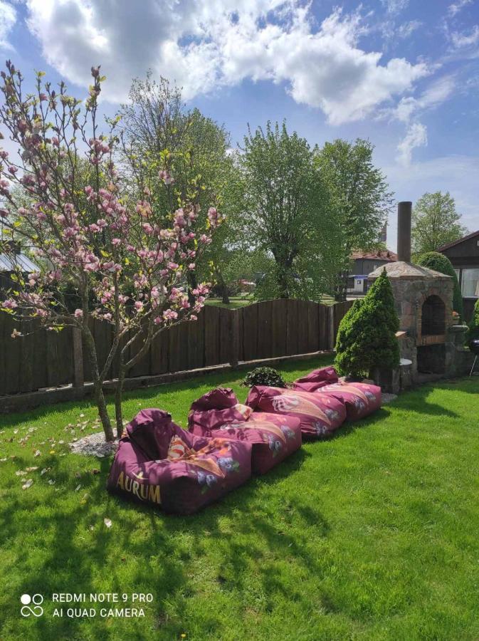 Zaliasis Kampas Nameliai Sventojoje Villa Šventoji Dış mekan fotoğraf